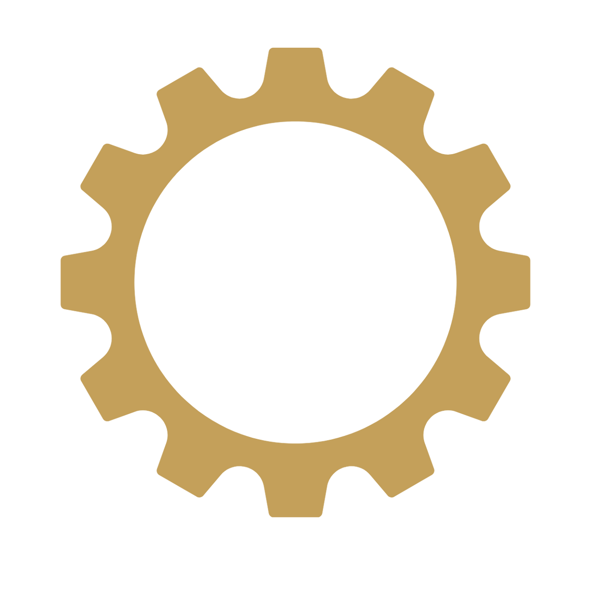 Enterprise IT Project Management